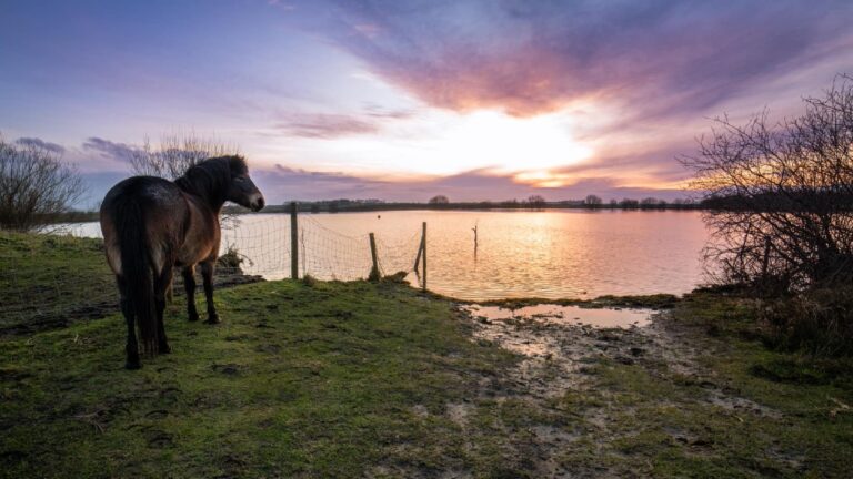 foto rinanne kugel in Slochteren TV