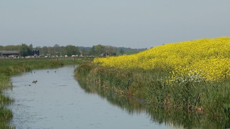 Natuurvriendelijke oevers waterkant TV