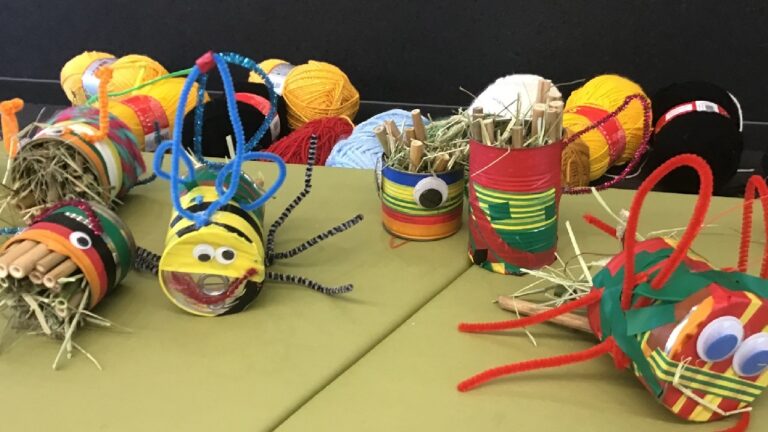 Bijen hotel maken in midden groningen tv