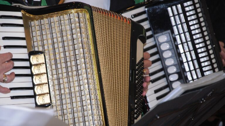 Accordeon festival tv