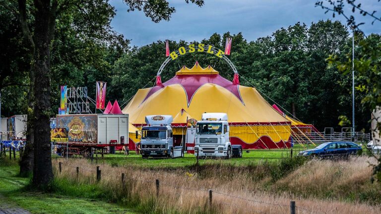 Circus Bossle