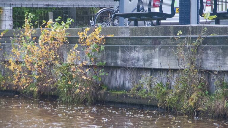 Jachthaven Zuidbroek 1