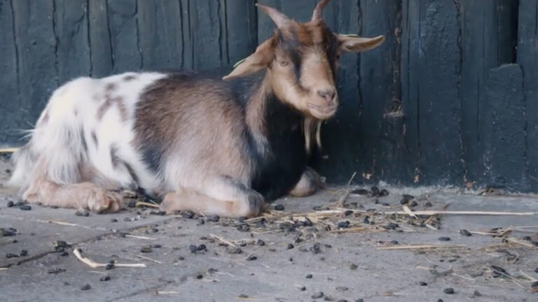 Natuur- en Milieu educatie