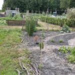 Moesttuin bij de MAC in Muntendam TV