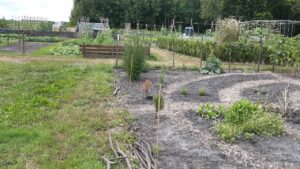 Moesttuin bij de MAC in Muntendam TV