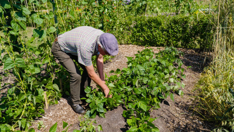 Moestuinproject Nait Spittn