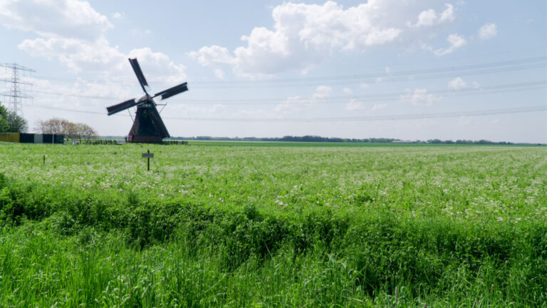 Molen