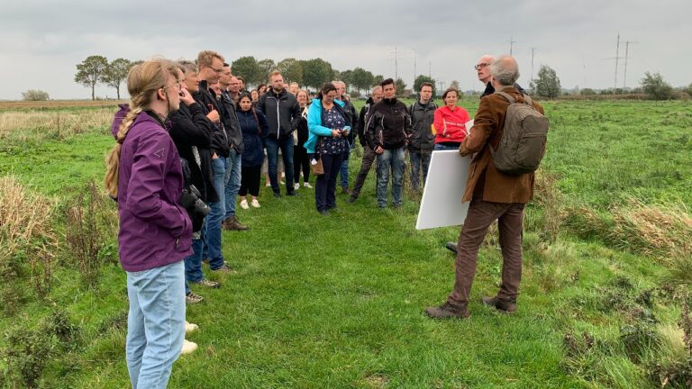 BUFFER in Roegwold TV