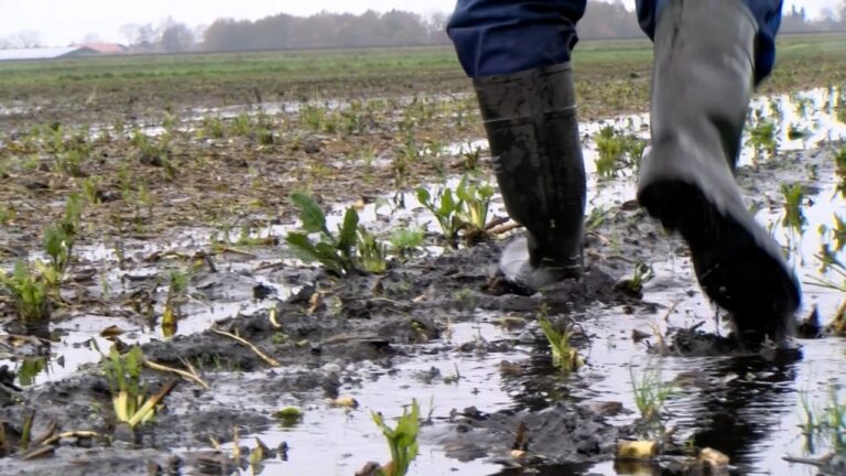 Sequence 02.00_03_07_20.Still001TV