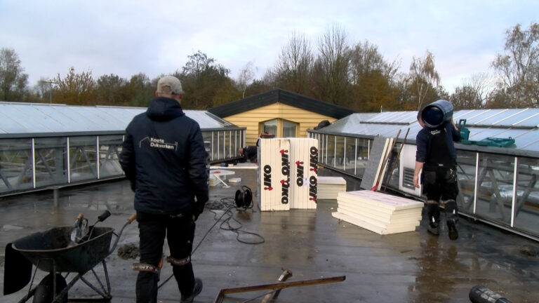 Verbouwing dak heemtuin