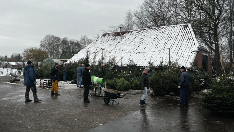 Boomkwekerij Joling Meeden