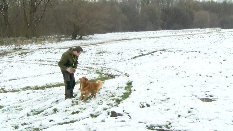 Sequence 04.00_01_05_27.Still001TV