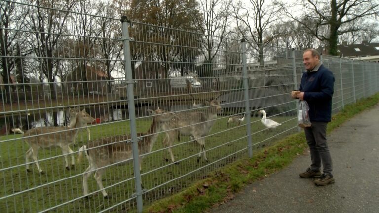 Sequence 06.00_01_19_15.Still001TV