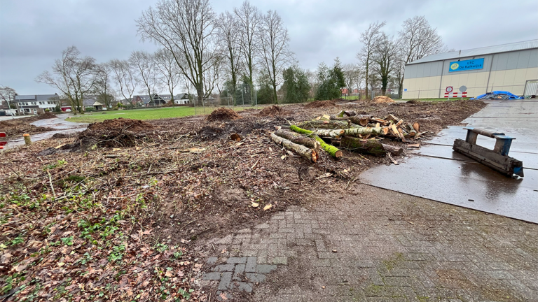 Bomenkap de Kalkwijck