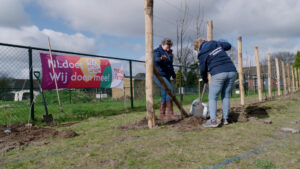 NL doet