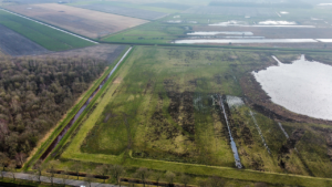 Natuurbegraafplaats