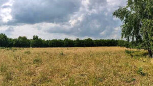Natuurbegraafplaats Roegwold - Impressie foto uit Ruimtelijk Plan 2024