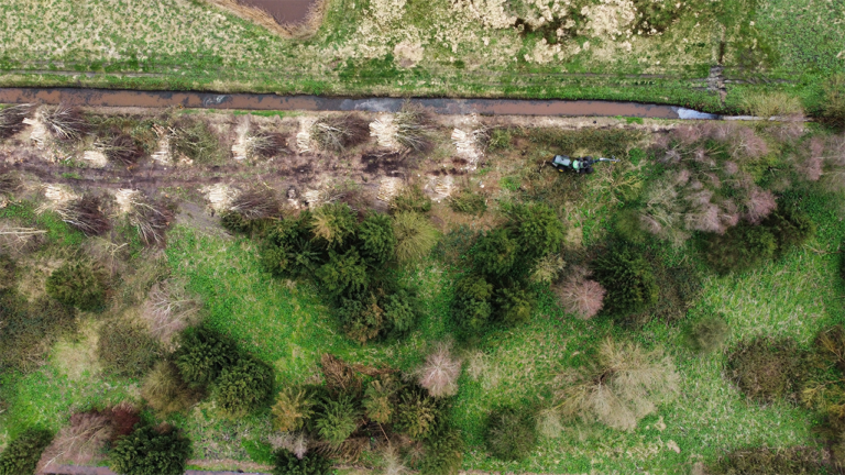 bomenkap hoogezand 2