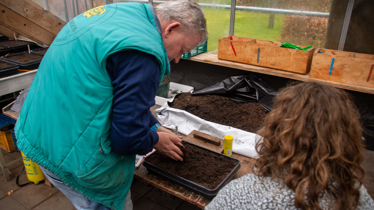 De Klimroos Sappemeer