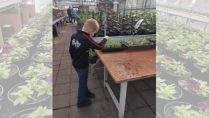 Kom in de Kas