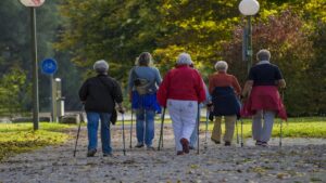 nordic-walking-1814784_1280 (1)