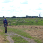 wandelweekend roerdomproute Schildmeer