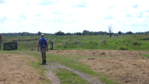 wandelweekend roerdomproute Schildmeer
