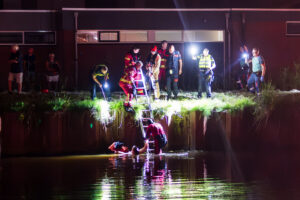 Hond en vrouw te water Zuidbroek