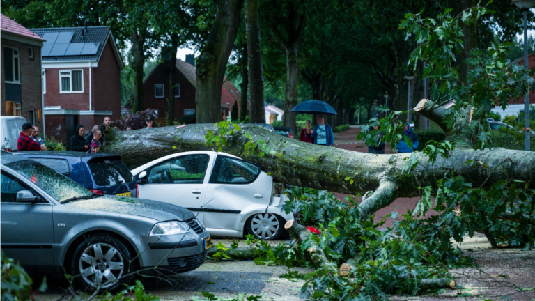 Boom valt op auto Kolham