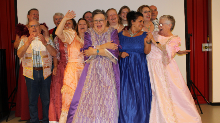 Operettevereniging Veendam-Wildervank