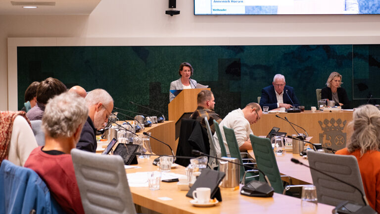 Annemiek Hoesen - Cultuurvisie 2025-2028 (14 nov 2024)