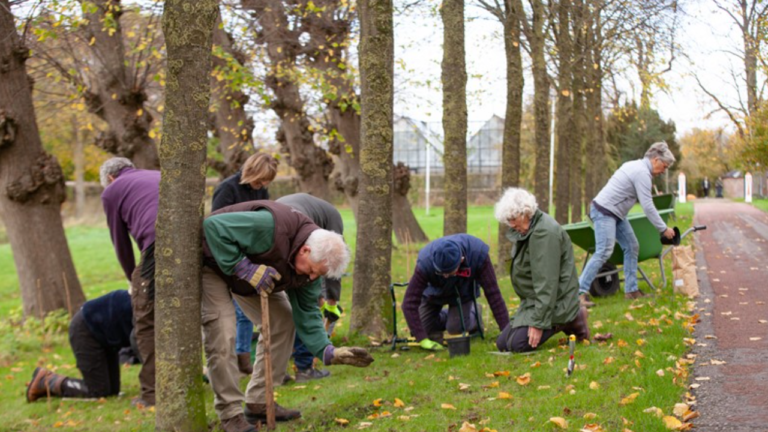 landelijke natuurwerkdag Foto: Irene Lantman.