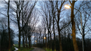 Lantaarnpaal, straatverlichting