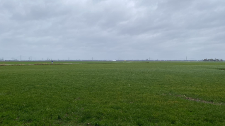 Storm, platteland, Midden-Groningen