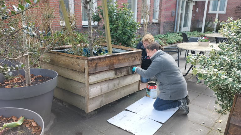 NL Doet Lijwiekstee Noordbroek