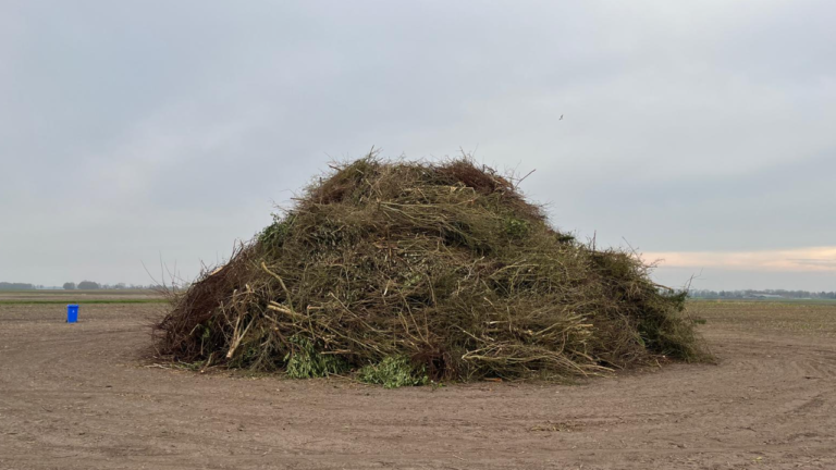 Paasvuur Kiel-Windeweer