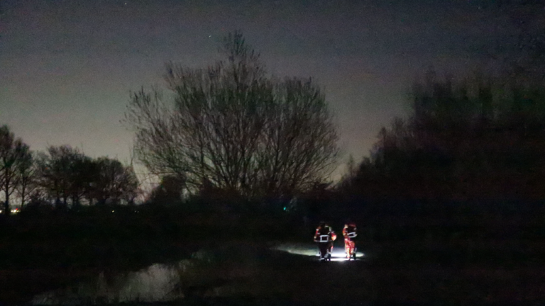 koe in de sloot langs het spoor tussen Waterhuizen en Kropswolde