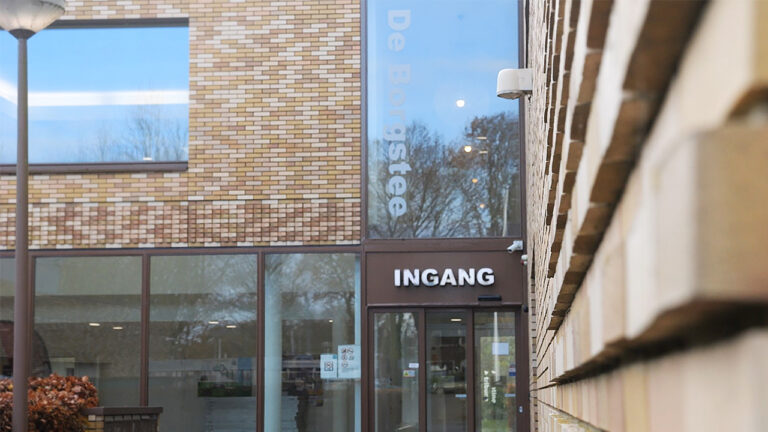 MFC De Borgstee Harkstede - Screenshot