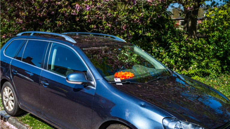 Bekeuringen Oranjemarkt 2025