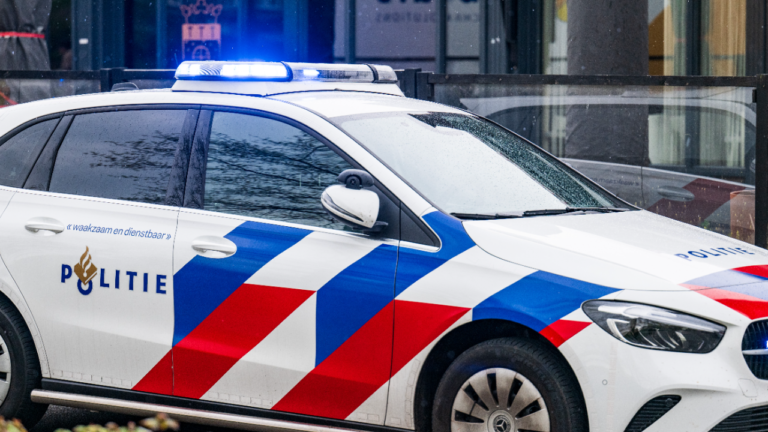 Politieauto (algemeen)