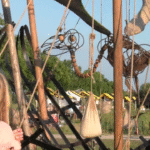 Vredesdag verbindt natuur, kunst en cultuur