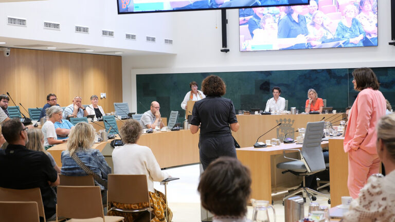 Screenshot - Raadscommissie Toekomstvisie Harkstede 2050 - Erianne Van der Burg en Marjolein Vulpes en meer (26 juni 2025)