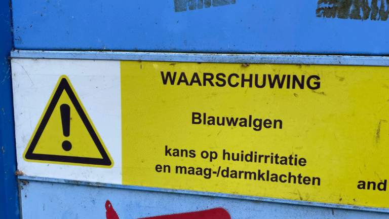 Zuidlaardermeer bij strand Meerwijck, blauwalg