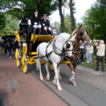 Fraeylemakoetsentocht