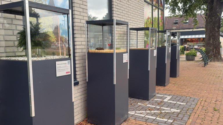 Kunstkabinetten Kielzog