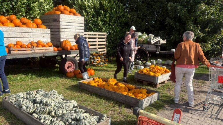 De Pompoenenschuur in Kielwindeweer