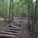 speelbos Meeden