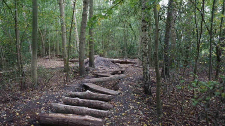 speelbos Meeden