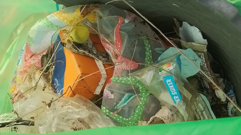 World Clean Upday Schildmeer