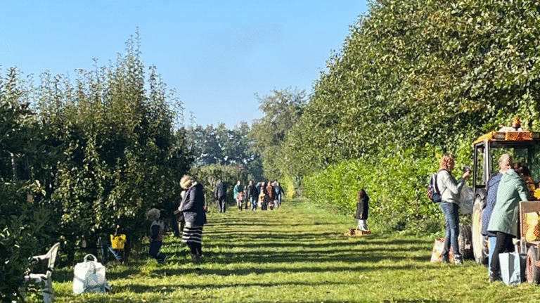 Bosschaart De Boer OP